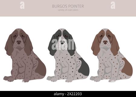 Burgos Pointer Hündchen Clipart. Verschiedene Fellfarben und Posen gesetzt. Vektorabbildung Stock Vektor