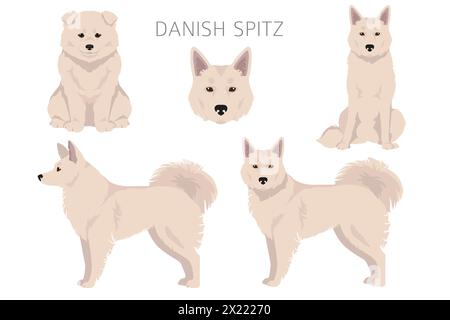 Dänischer Spitz Clipart. Verschiedene Posen, Fellfarben eingestellt. Vektorgrafik Stock Vektor