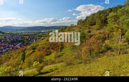 Landschaft in den NSG-Trockengebieten bei Machtilshausen, Landkreis Bad Kissingen, Unterfranken, Franken, Bayern, Deutschland Stockfoto