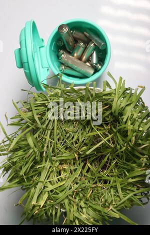 Gebrauchte Fingerbatterien in einem Miniatur-Mülleimer. In der Nähe gibt es träge Gras. Auf weißem Hintergrund. Stockfoto
