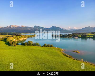 Luftaufnahme des Forggensees im Abendlicht, Allgäuer Alpen, Ostallgäu, Schwaben, Alpen, Voralpen, Bayerische Alpen, Allgäu, Schwaben, Oberschwaben, Nord-L Stockfoto