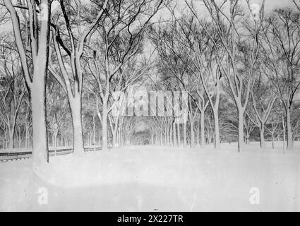 The Mall, Central Park, zwischen 1910 und 1915. Stockfoto