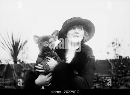 Mrs. Malcolm Strauss &amp; „Beaux Attos“ [d. h. Athos], zwischen 1910 und 1915. Zeigt Mrs. Malcolm Strauss und ihre preisgekrönte französische Bulldogge Beaux Athos, möglicherweise auf der jährlichen Ausstellung der französischen Bulldogge von Amerika im Hotel Astor, New York City. Stockfoto