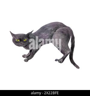 Schwarze Katze steht mit gewölbtem Rücken. Handgezeichnete Aquarellillustration isoliert auf weißem Hintergrund. Für Halloween-Karten, Einladungen, Poster, c Stockfoto