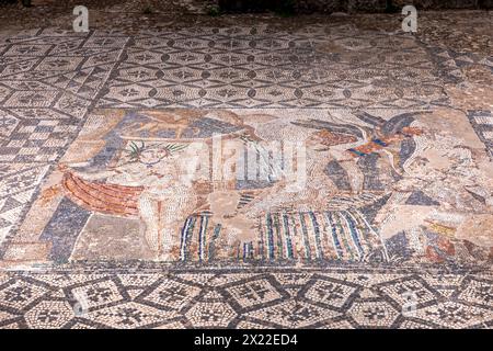 Volubilis, Marokko - 20. März 2024: Touristische Attraktion und römische archäologische Stätte in der Nähe von Meknes. Volubilis, Marokko, ist ein UNESCO-Weltkulturerbe Stockfoto