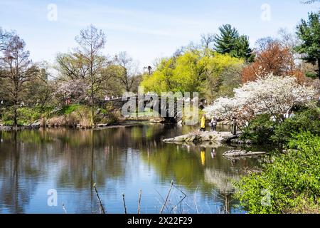 Die Gapstow Bridge und der Teich sind eine Touristenattraktion während der Frühlingssaison 2024 in New York City, Central Park, USA Stockfoto