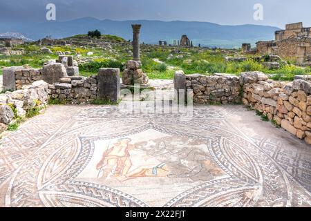 Volubilis, Marokko - 20. März 2024: Touristische Attraktion und römische archäologische Stätte in der Nähe von Meknes. Volubilis, Marokko, ist ein UNESCO-Weltkulturerbe Stockfoto