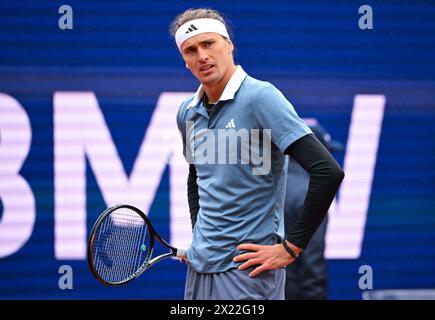 München, Deutschland. April 2024. Tennis: ATP Tour - München, Singles, Männer, Viertelfinale. Zverev (Deutschland) - Garin (Chile). Alexander Zverev in Aktion. Quelle: Sven Hoppe/dpa/Alamy Live News Stockfoto