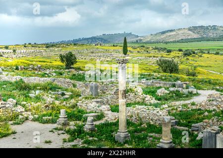 Volubilis, Marokko - 20. März 2024: Touristische Attraktion und römische archäologische Stätte in der Nähe von Meknes. Volubilis, Marokko, ist ein UNESCO-Weltkulturerbe Stockfoto