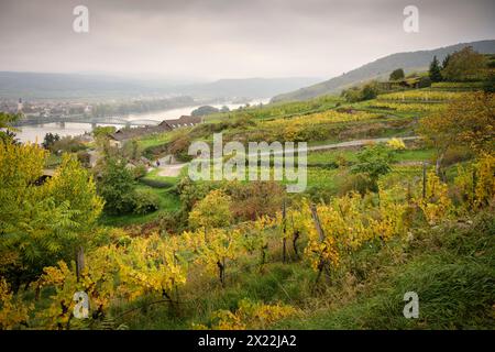 Blick über Weinberge zur Kremser Eisenbahnbrücke über die Donau, UNESCO-Weltkulturerbe „Wachau Kulturlandschaft“, Stein bei Krems an der Stockfoto