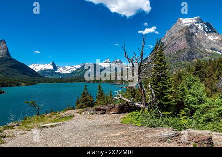 Berge, Seen und Bäume vom Sunspot Point im Glacier National Park Stockfoto