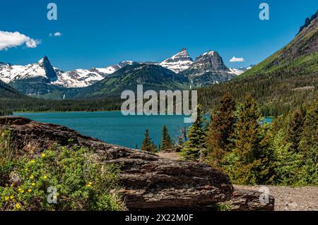 Berge, Seen und Bäume vom Sunspot Point im Glacier National Park Stockfoto