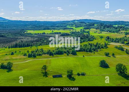 Ausblick auf den Staffelsee in Oberbayern südlich der Gemeinde Uffing die Region Uffing am Staffelsee an einem herrlichen Sommertag von Uffing am Staffelsee Stockfoto