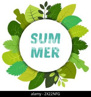Grüne Sommerblätter unter weißem runden Etikett und Aufschrift Sommer. Vektorkarte mit grünen Blättern auf weißem Hintergrund Stock Vektor
