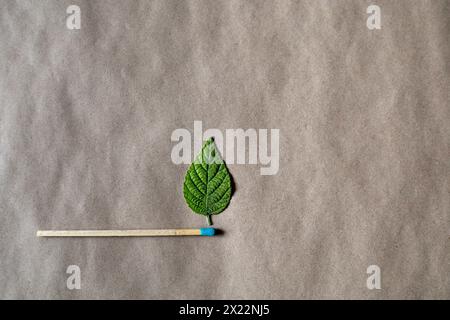 Streichhölzer und grüne Blätter in Form von Flammen. Umweltschutzkonzept Stockfoto