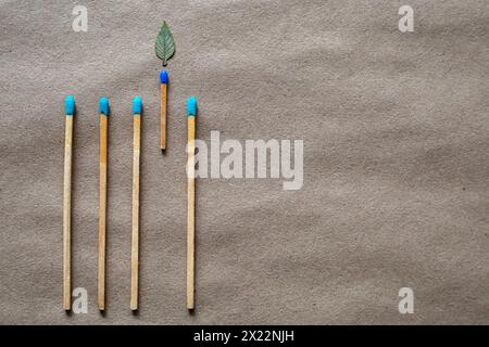 Streichhölzer und grüne Blätter in Form von Flammen. Umweltschutzkonzept Stockfoto