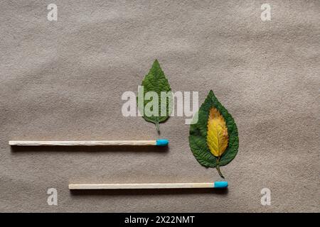 Streichhölzer und grüne Blätter in Form von Flammen. Umweltschutzkonzept Stockfoto