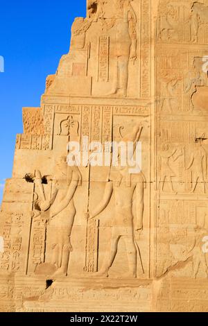 Der Gott Horus wurde im ptolemäischen Tempel von KOM Ombo am Ufer des Nils in Assuan, Ägypten, gemeißelt. Stockfoto