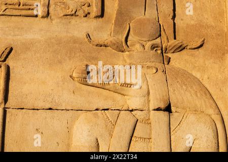 Reliefschnitzerei des Gottes Khnum, der ptolemäische Tempel von KOM Ombo am Ufer des Nils in Assuan, Ägypten. Stockfoto