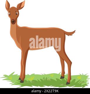 Niedliches Kalb, das auf Grasvektor-Illustration steht Stock Vektor