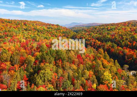 Wald, farbenfrohe Herbstfarben der Bäume im Herbst, Quebec, Kanada Stockfoto