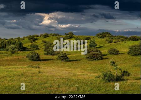 Stralsund: Naturschutzgebiet der Halbinsel Devin bei Stralsund, Ostseeküste, Mecklenburg-Vorpommern Ostseeküste, Mecklenburg-Vorpommern Stockfoto