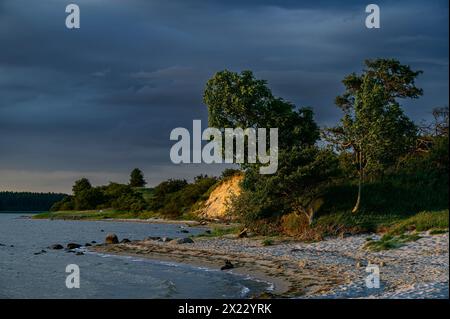 Stralsund: Naturschutzgebiet der Halbinsel Devin bei Stralsund, Ostseeküste, Mecklenburg-Vorpommern Ostseeküste, Mecklenburg-Vorpommern Stockfoto