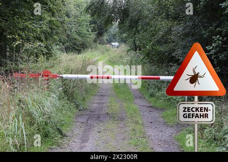 Warnschild für infizierte Zecken im Wald. Risiko von Zecken und Lyme-Borreliose. Stockfoto