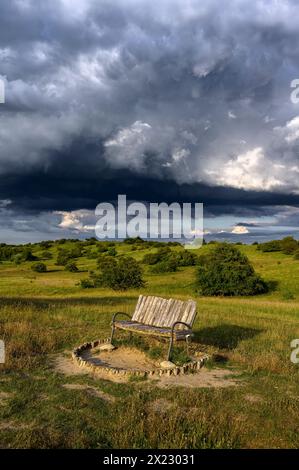 Stralsund: Naturschutzgebiet der Halbinsel Devin bei Stralsund, Ostseeküste, Mecklenburg-Vorpommern Ostseeküste, Mecklenburg-Vorpommern Stockfoto