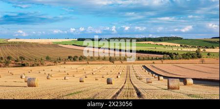 Feldlandschaft während der Ernte im Sommer, Stoppelfeld mit Strohballen unter blauem Himmel mit Gewitterwolken, Sachsen-Anhalt, Deutschland Stockfoto