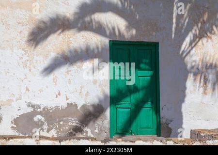 Typischer Hauseingang auf Fuerteventura im Schatten einer Palme, Fuerteventura, Kanarische Insel, Spanien Stockfoto