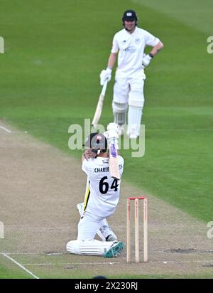 Hove UK 19. April 2024: Ben Charlesworth schlägt für Gloucesterhire gegen Sussex während des Cricketspiels der Vitality County Championship League 2 auf dem 1. Central County Ground in Hove: Credit Simon Dack /TPI/ Alamy Live News Stockfoto