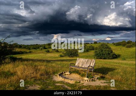 Stralsund: Naturschutzgebiet der Halbinsel Devin bei Stralsund, Ostseeküste, Mecklenburg-Vorpommern Ostseeküste, Mecklenburg-Vorpommern Stockfoto