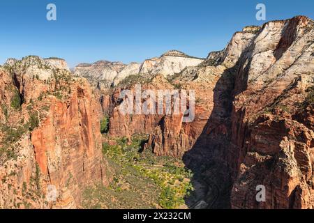 Blick auf den Zion Canyon von Angels Landing, Zion National Park, Colorado Plateau, Utah, USA, Zion-Nationalpark, Utah, USA Stockfoto