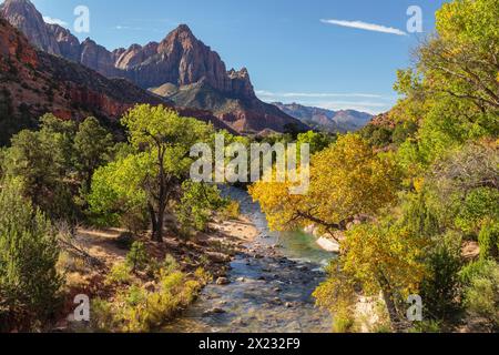 Blick vom Virgin River zum Watchman Mountain, Zion National Park, Colorado Plateau, Utah, USA, Zion-Nationalpark, Utah, USA Stockfoto