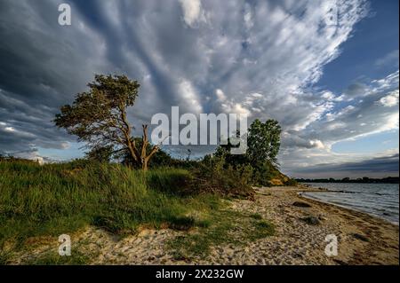 Stralsund: Naturschutzgebiet der Halbinsel Devin bei Stralsund, Ostseeküste, Mecklenburg-Vorpommern Ostseeküste, Mecklenburg-Vorpommern Stockfoto