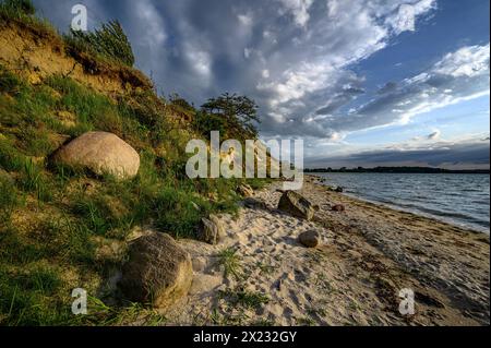 Stralsund: Naturschutzgebiet der Halbinsel Devin bei Stralsund, Ostseeküste, Mecklenburg-Vorpommern Ostseeküste, Mecklenburg-Vorpommern Stockfoto