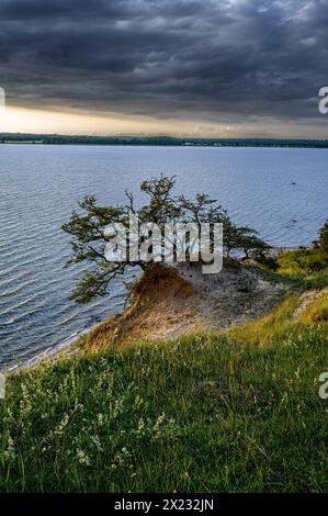 Stralsund: Naturschutzgebiet der Halbinsel Devin bei Stralsund, Ostseeküste, Mecklenburg-Vorpommern Ostseeküste, Mecklenburg-Vorpommern Stockfoto