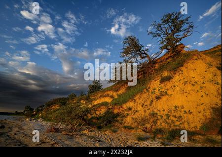 Stralsund: Naturschutzgebiet der Halbinsel Devin bei Stralsund, Ostseeküste, Mecklenburg-Vorpommern Ostseeküste, Mecklenburg-Vorpommern Stockfoto