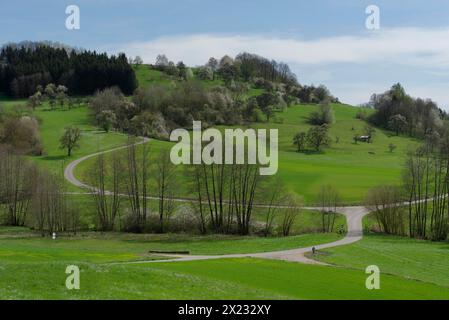 Frühling rund um das Gnadental, Gnadental, Sailach, Michelfeld-Gnadental, Waldenburg-Sailach, Waldenburger Berge Stockfoto