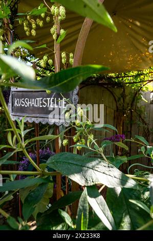 Cafe Seelchen, Halbinsel Gnitz, Usedom, Ostseeküste, Mecklenburg Vorpommern, Deutschland Stockfoto