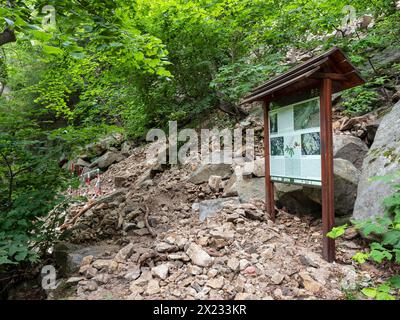 Erdrutsch, Schlamm, Erdrutsch, Felssturz, vergrabener Wanderweg im Bode-Tal zwischen Thale und Treseburg, Nationalpark Harz, Thale Stockfoto