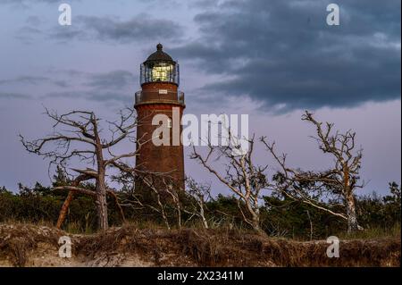 Leuchtturm Darßer Ort, Darsser Ort, Natur, Ostseeküste, Mecklenburg-Vorpommern, Deutschland Stockfoto