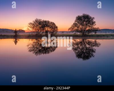 Morgenstimmung im Saaletal bei Naumburg spiegeln sich Bäume in der Saale bei Sonnenaufgang und Bodennebel, Naumburg, Sachsen-Anhalt, Deutschland Stockfoto