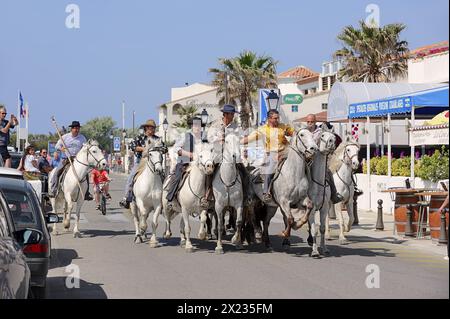 Reiter auf Camargue-Pferden treiben Camargue-Stiere durch die Straßen von Les-Saintes-Maries-de-la-Mer zur Arena, Saintes-Maries-de-la-Mer, Camargue Stockfoto