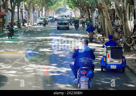 Verkehr in Shanghai, Shanghai Shi, Blick auf eine geschäftige Straße mit schattigen Bäumen und verschiedenen Fahrzeugen, Shanghai, Volksrepublik China Stockfoto