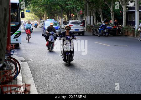 Der Verkehr in Shanghai, Shanghai Shi, Menschen, die Motorroller und Fahrräder entlang einer von Bäumen gesäumten Straße fahren, Shanghai, Volksrepublik China Stockfoto