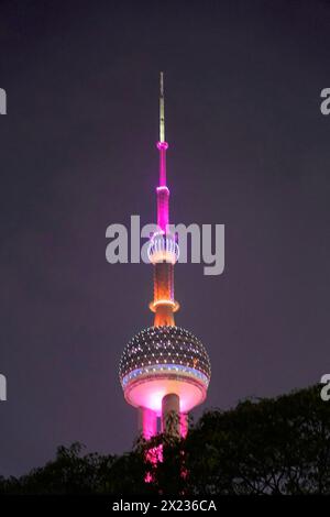 Oriental Pearl Tower, Pudong, Shanghai, China, Asien, Turm in violettem Licht hinter Baumkronen bei Nacht, Shanghai, Volksrepublik China Stockfoto