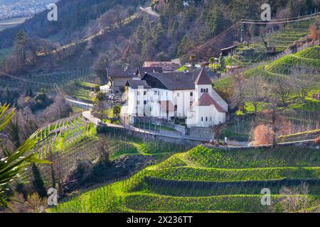 Weinterrassen mit Pfarrkirche St. Peter im Frühjahr, Dorf Tyrol bei Meran, Etschtal, Burggrafenamt, Alpen, Südtirol, Trentino-Südtirol, Italien Stockfoto