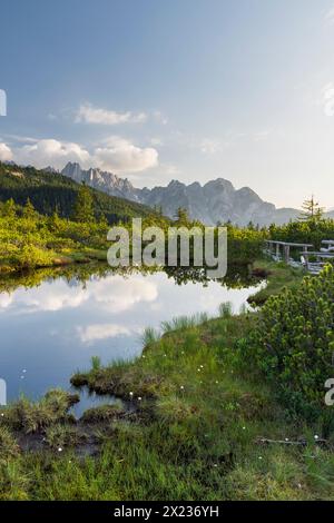 Naturschutzgebiet Löckenmoos, Gosau, Salzkammergut, Oberösterreich, Österreich Stockfoto